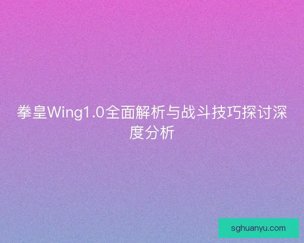 拳皇Wing1.0全面解析与战斗技巧探讨深度分析