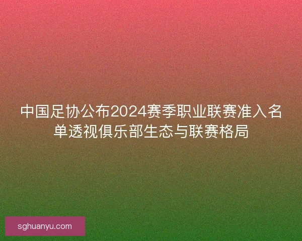 中国足协公布2024赛季职业联赛准入名单透视俱乐部生态与联赛格局