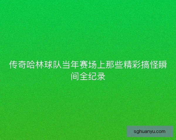 传奇哈林球队当年赛场上那些精彩搞怪瞬间全纪录
