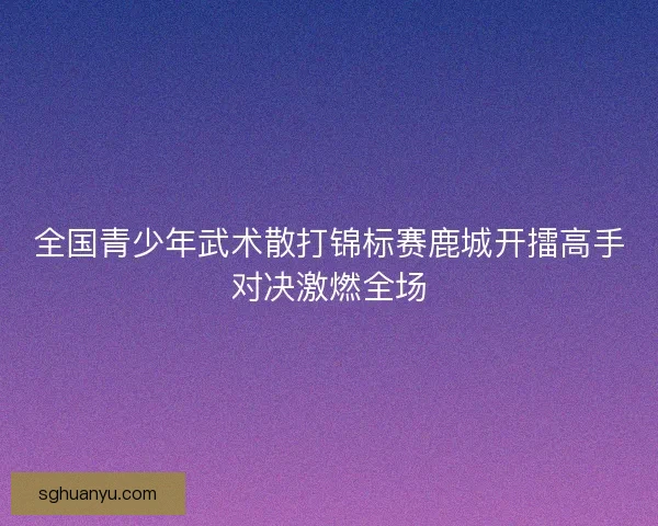 全国青少年武术散打锦标赛鹿城开擂高手对决激燃全场